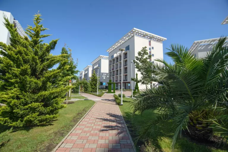 Отель «Bridge Resort» (Бридж Резорт)